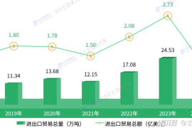 互联网行业的趋势分析：未来的数字化之路