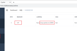 如何打造个人IP，走向成功的全新起点