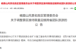签证更新预约最新政策，让你的出行更顺畅