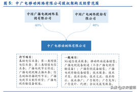 农村知识付费模式：赋能乡村振兴的新机遇