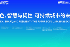 IP授权股：引领新时代投资风潮的黄金机会