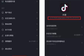 如何入门抖音短视频剪辑，轻松打造爆款视频