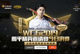 《和平精英粉丝互动技巧：打造专属社区，让热爱更加深沉》