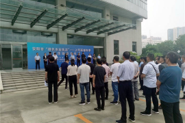 精确农业成功案例分享：科技改变农业未来