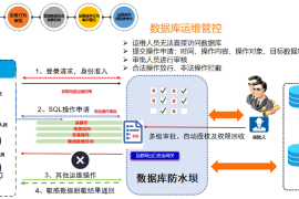轻松实现安全访问，ip授权网站带你走向互联网新天地