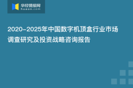 IP打造服务：赋能品牌，开启数字时代的新机遇