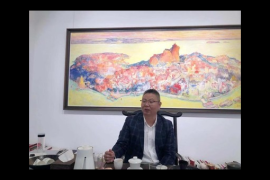 油画拍摄设备推荐：助力艺术创作与作品呈现
