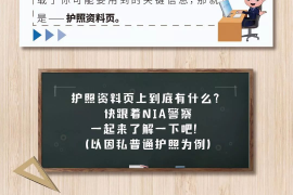 中国护照更新最新政策——全面解读与指南