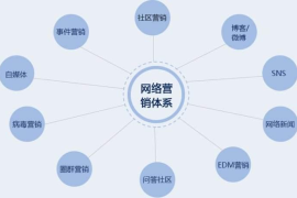 如何通过安阳短视频SEO优化提升品牌曝光与销售转化