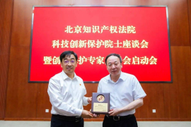 IP授权深圳：探索知识产权领域的新机遇