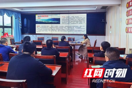 短视频制作与拍摄技巧，提升你的创作能力