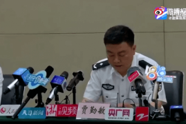 畜牧成功案例分享：如何实现养殖业的飞跃