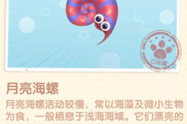 直播怎么和粉丝互动技巧：提升人气，打造忠实粉丝群体的秘密