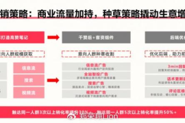小红书内容策略产品：助力品牌快速破圈，精准触达年轻人