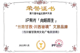 《IP独家授权合同：开创品牌新纪元，保护知识产权的最佳选择》