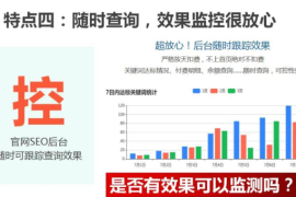 短视频SEO优化课程——如何让你的短视频快速涨粉，脱颖而出！