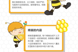 IP授权比例：提升品牌价值的关键之道
