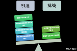 行业发展趋势分析：未来的机遇与挑战