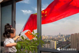 拍摄设备推荐相机品牌，助你捕捉精彩瞬间