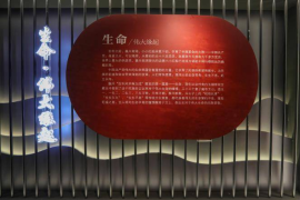 家居脚本撰写技巧与方法——提升居家生活的艺术