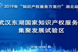 湖北知识付费新模式创新：开启智慧变革新纪元