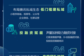 如何制定高效的广告投放策略计划，让品牌快速破圈