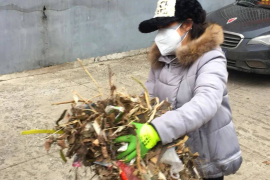 上海社区更新政策最新动态，全面提升居民生活质量