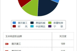 宁波短视频SEO优化：提升曝光度，打造品牌影响力