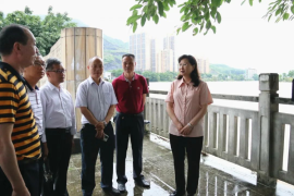 保护企业资产与安全的“守门人”——IP授权系统的重要性