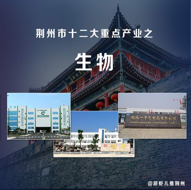 乳品行业广告投放策略：如何在竞争激烈的市场中脱颖而出