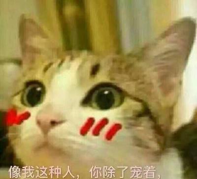 穷学生拍摄设备推荐:低预算也能拍出高质量作品