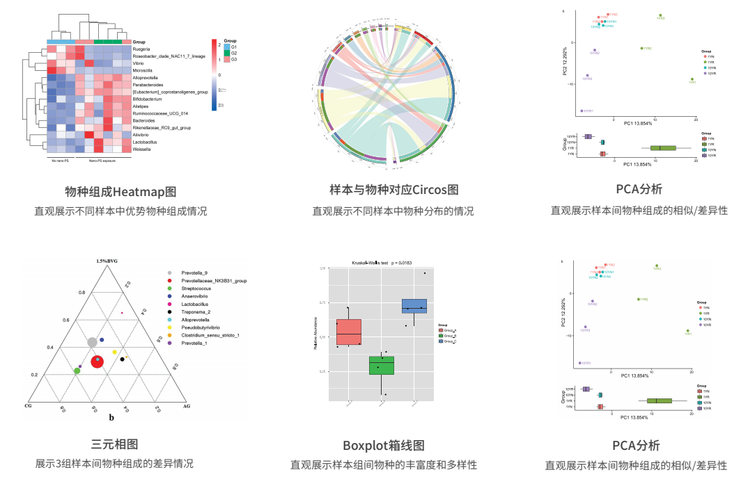 蛋白组数据分析工具:为科研创新提供强大助力