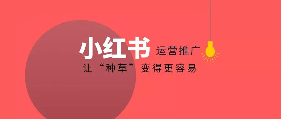 小红书内容创作与营销策略:打造品牌影响力的秘密武器