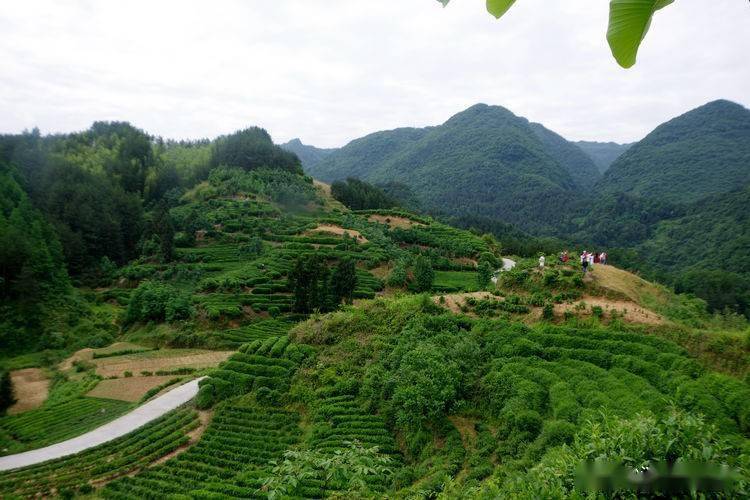 人物环绕拍摄设备推荐：为您的创意赋能