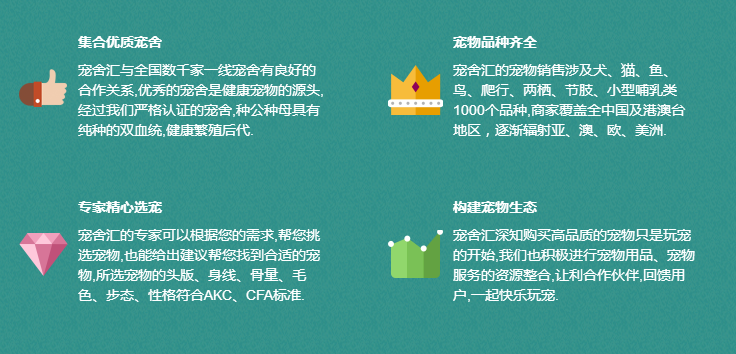 比赛直播脚本撰写技巧：打造引人入胜的赛事解说体验