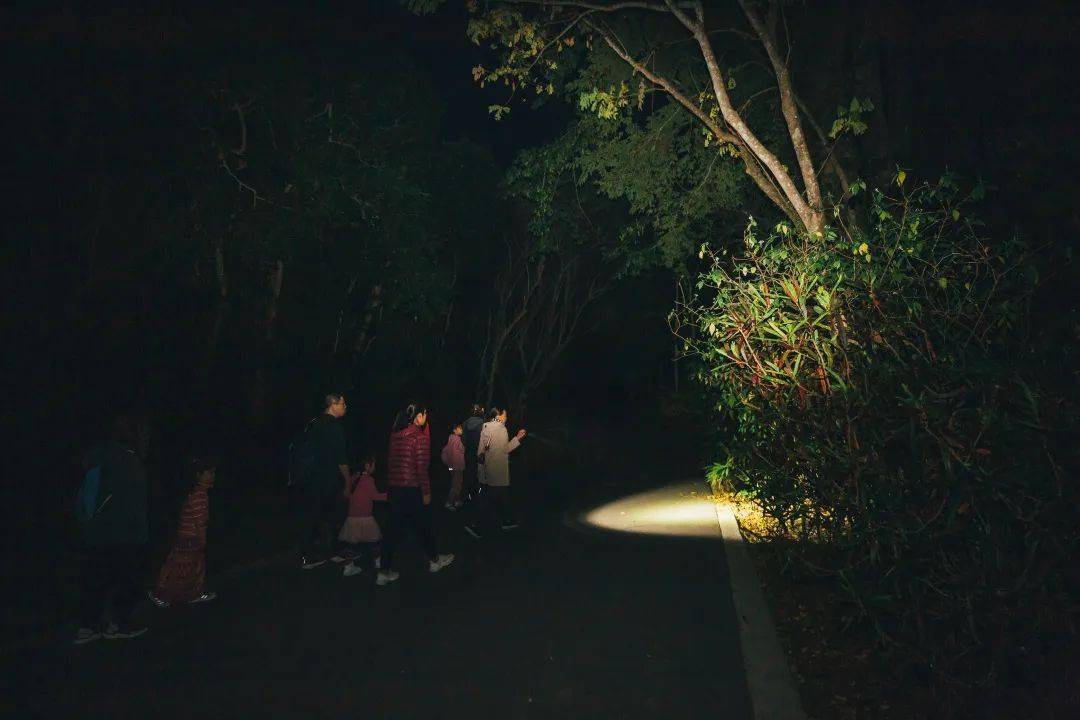 第一次学带货攻略视频:零基础也能轻松起步