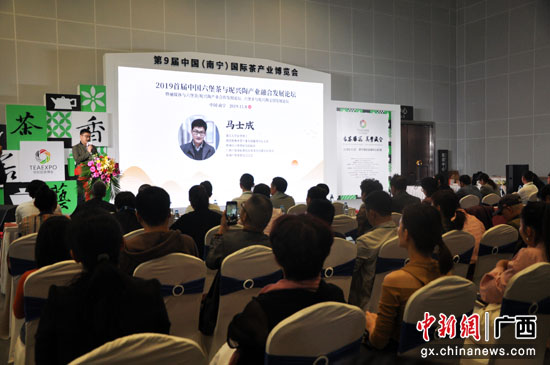 茶IP打造：让茶文化焕发新生，开启茶产业新时代