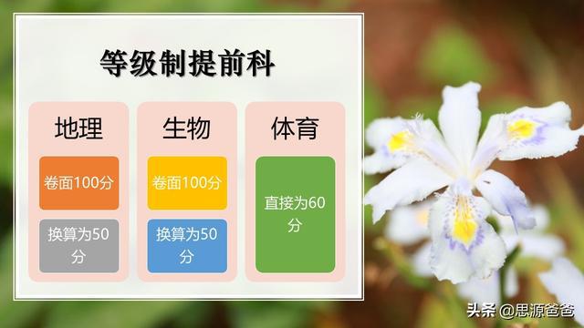 青海车牌更新政策最新:掌握变化,轻松应对