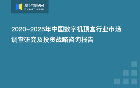 IP打造服务:赋能品牌,开启数字时代的新机遇