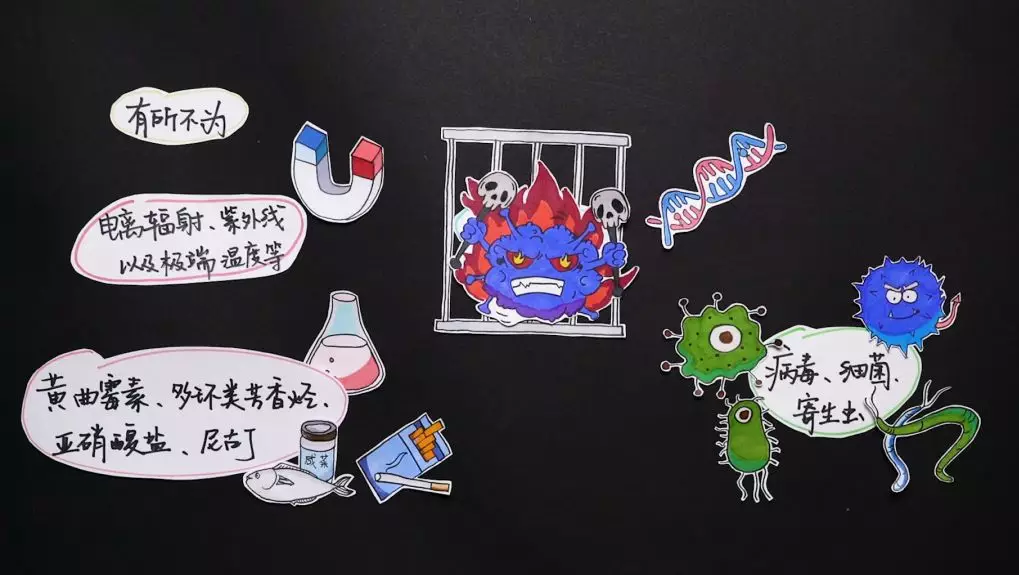 卡通短视频拍摄技巧,助你轻松制作创意短片