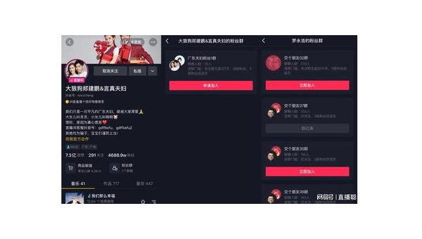 提升抖音粉丝群互动的技巧,助你实现粉丝暴涨!