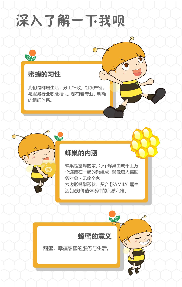 IP授权比例：提升品牌价值的关键之道