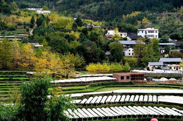 村庄更新最新政策:共建美好家园,开启乡村振兴新篇章