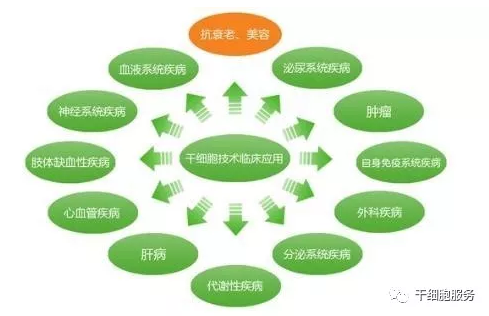 医生IP打造:走在时代前沿的医疗变革