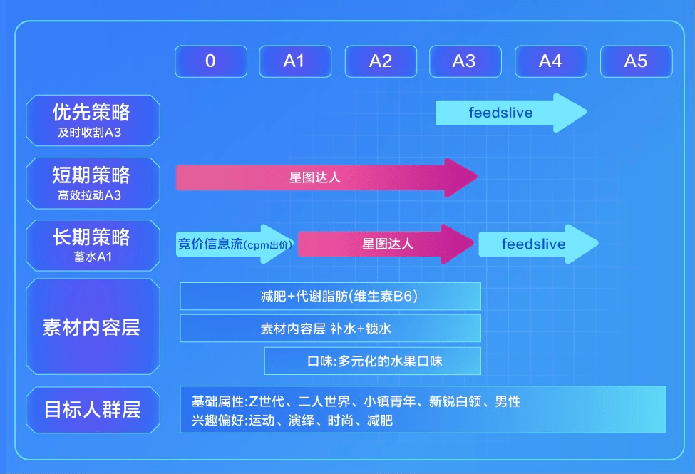 品牌广告投放策略流程表——成功营销的制胜法宝