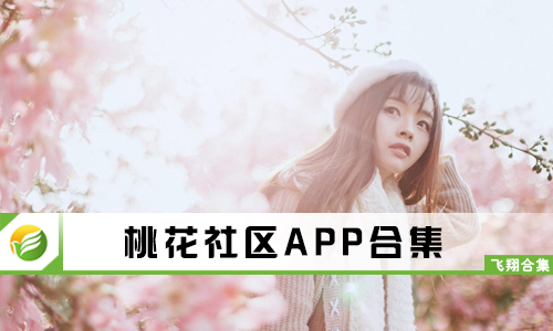 ROSES现场视频剪辑入门：让你的创意无处不在