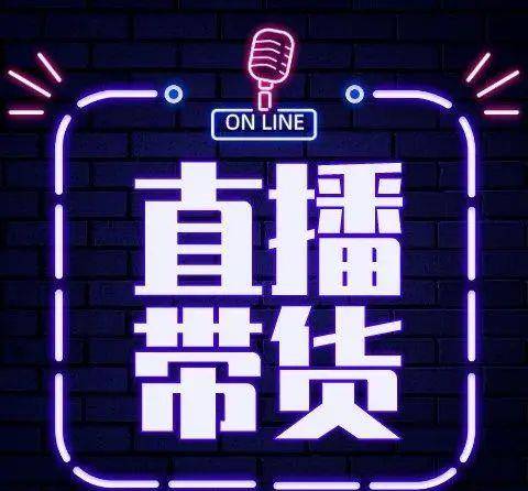 直播带货翻盘攻略小说