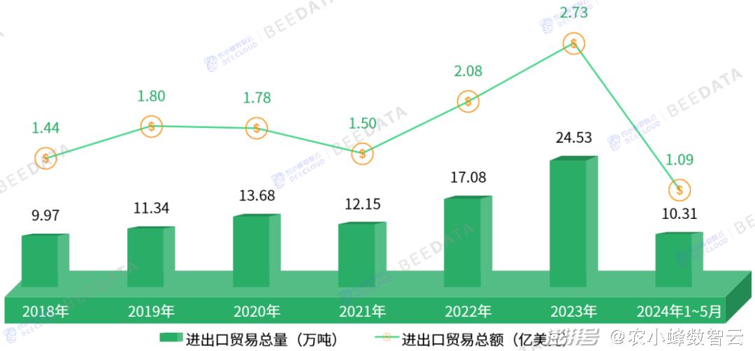 互联网行业的趋势分析：未来的数字化之路