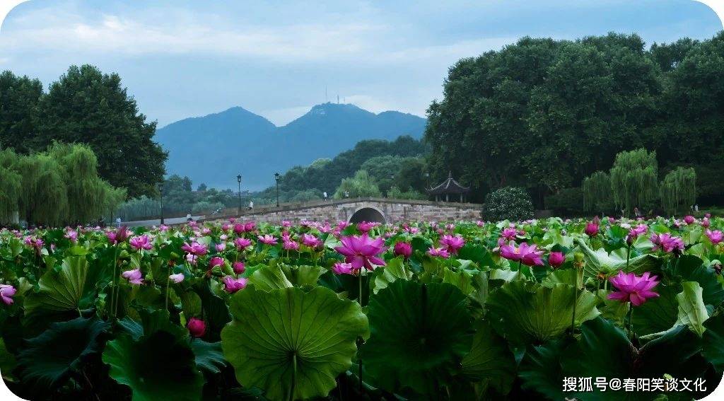 修心养性成功案例分享：开启人生的新篇章