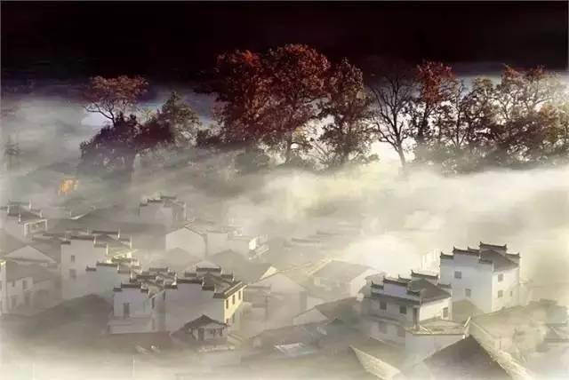 修心养性成功案例分享：开启人生的新篇章